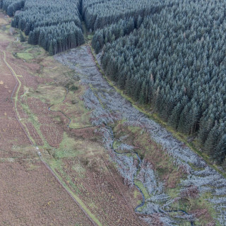 Diversified income for land owner