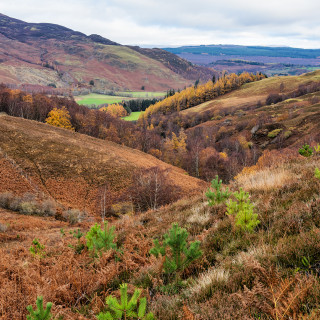 Habitat conservation and linkage