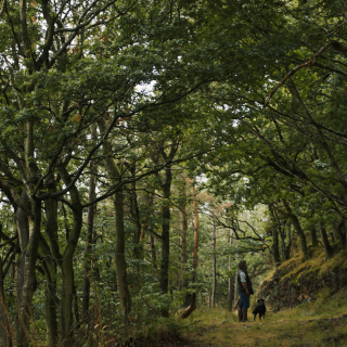Public access to green spaces
