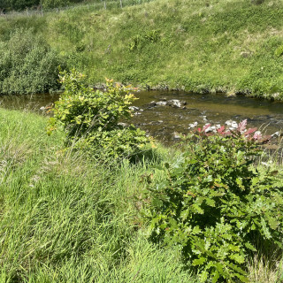 Reduced risk of flooding