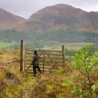 Public access to green spaces
