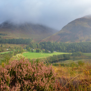 Habitat corridors and linkage