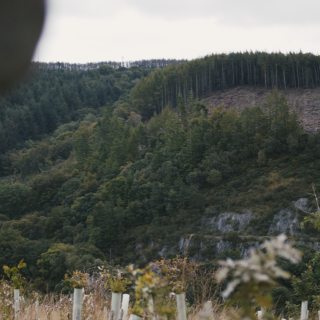 Diversified income for host