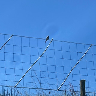 Habitat conservation